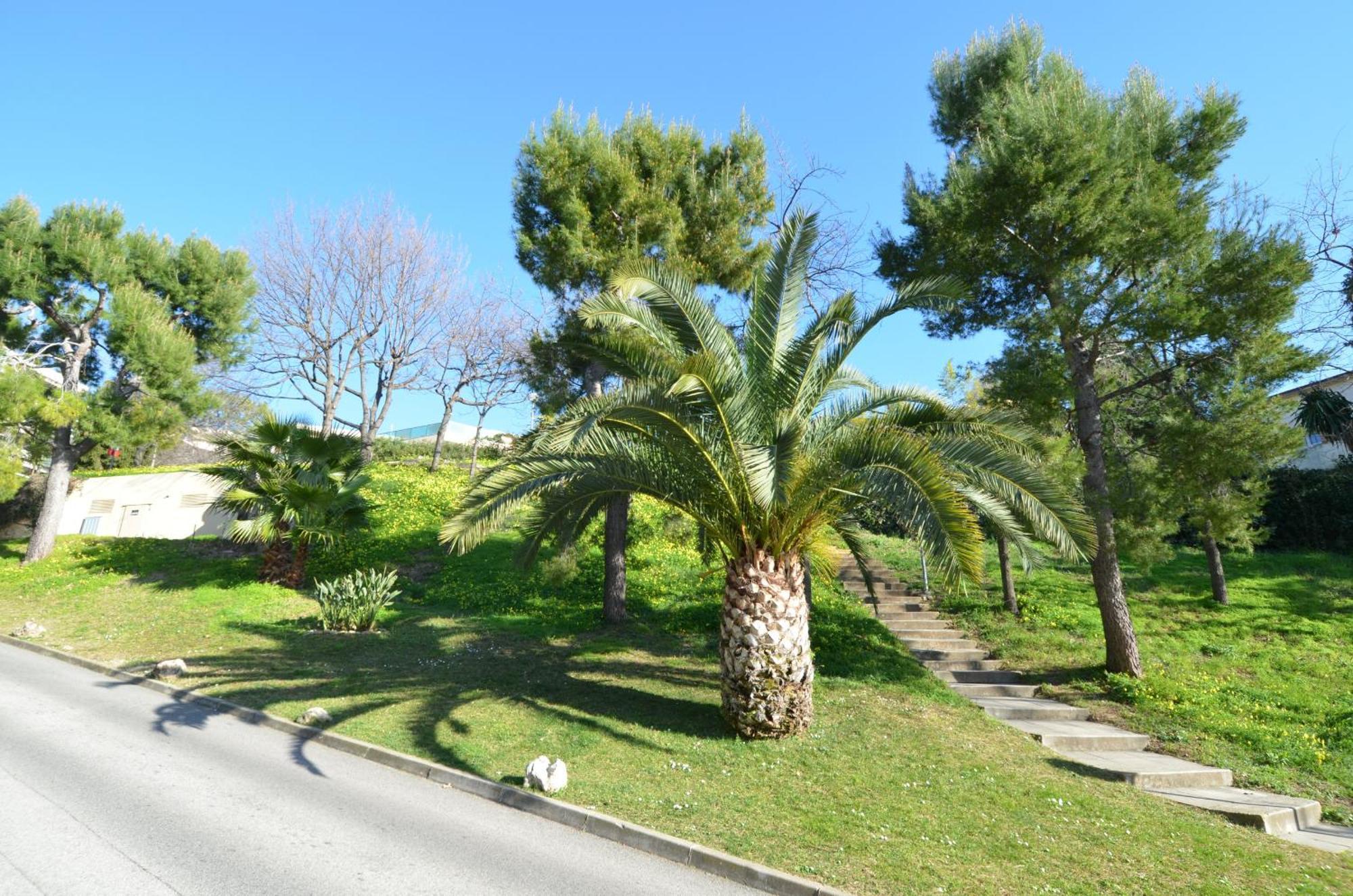 Plein Ciel - Appartement 5 Personnes Avec Piscine Sur La Corniche Fleurie A Nice Exteriér fotografie